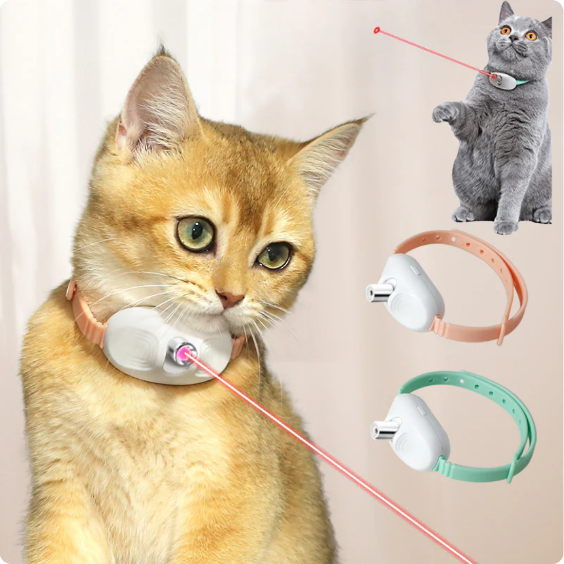 MjauBuddy™ - Interaktivt laserhalsband